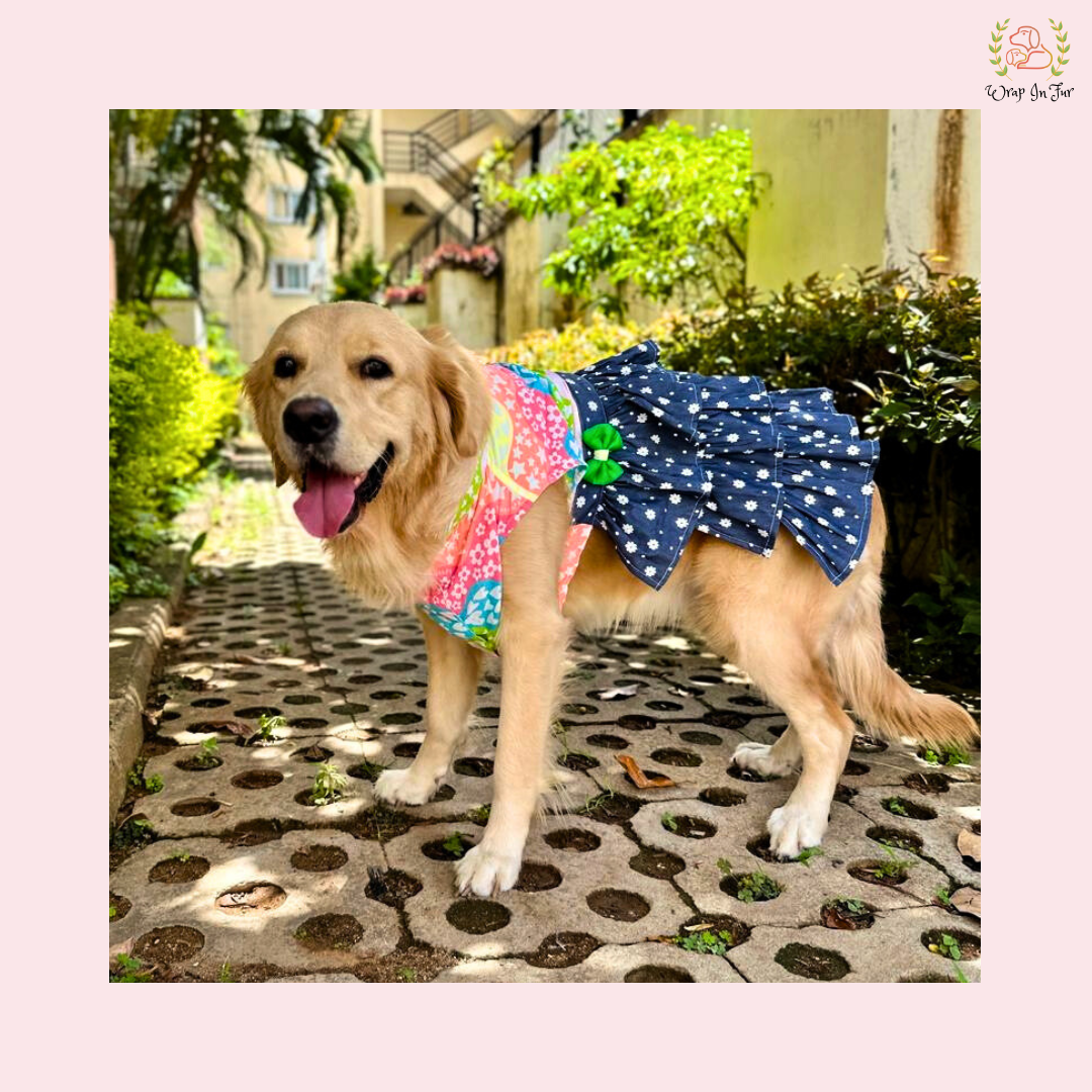 Rainbow Top Tiered Dog Princess Dress | Summer Party Frock Wrapinfur Rainbow Top Tiered Dog Princess Dress | Summer Party Frock Wrapinfur