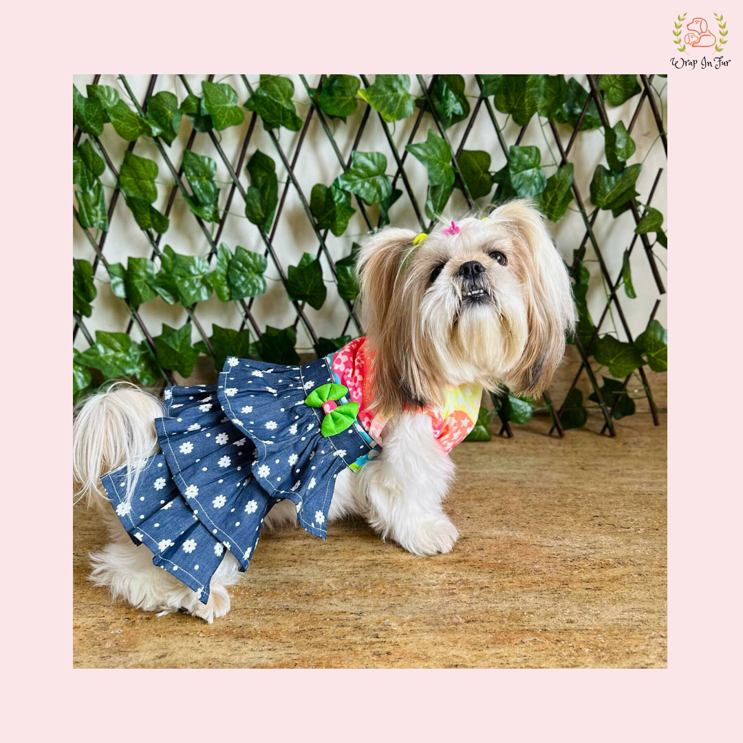 Rainbow Top Tiered Dog Princess Dress - Casual Summer Party Frock