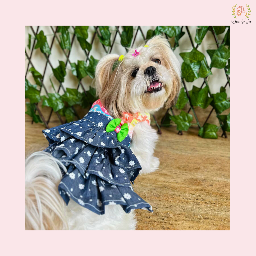 Rainbow Top Tiered Dog Princess Dress - Casual Summer Party Frock