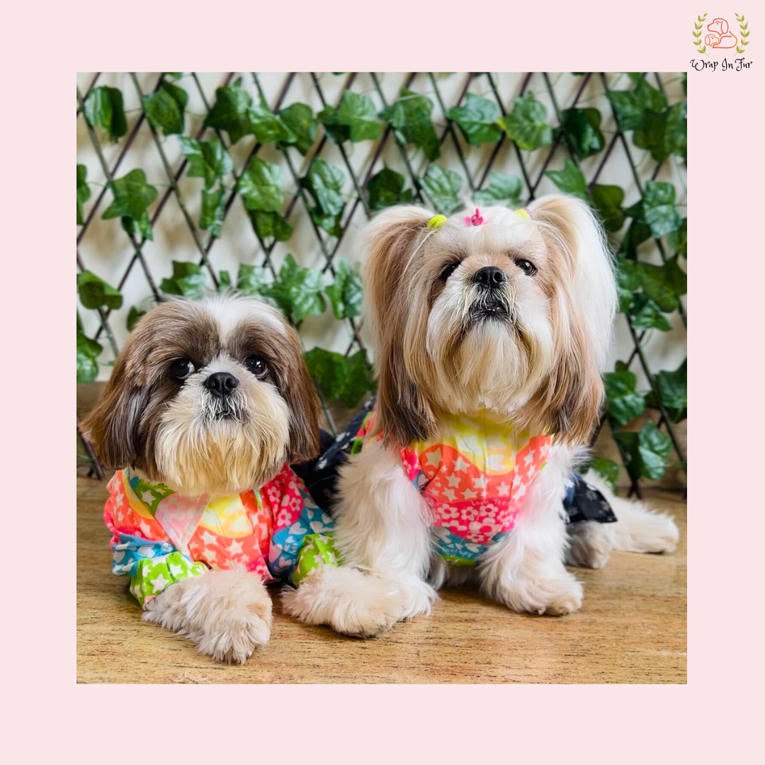 Rainbow Top Tiered Dog Princess Dress - Casual Summer Party Frock