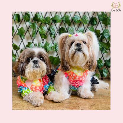 Rainbow Top Tiered Dog Princess Dress - Casual Summer Party Frock