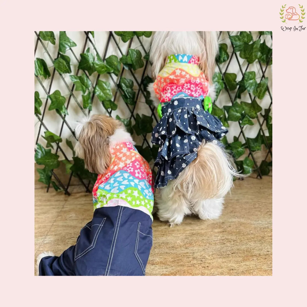 Rainbow Top Tiered Dog Princess Dress - Casual Summer Party Frock