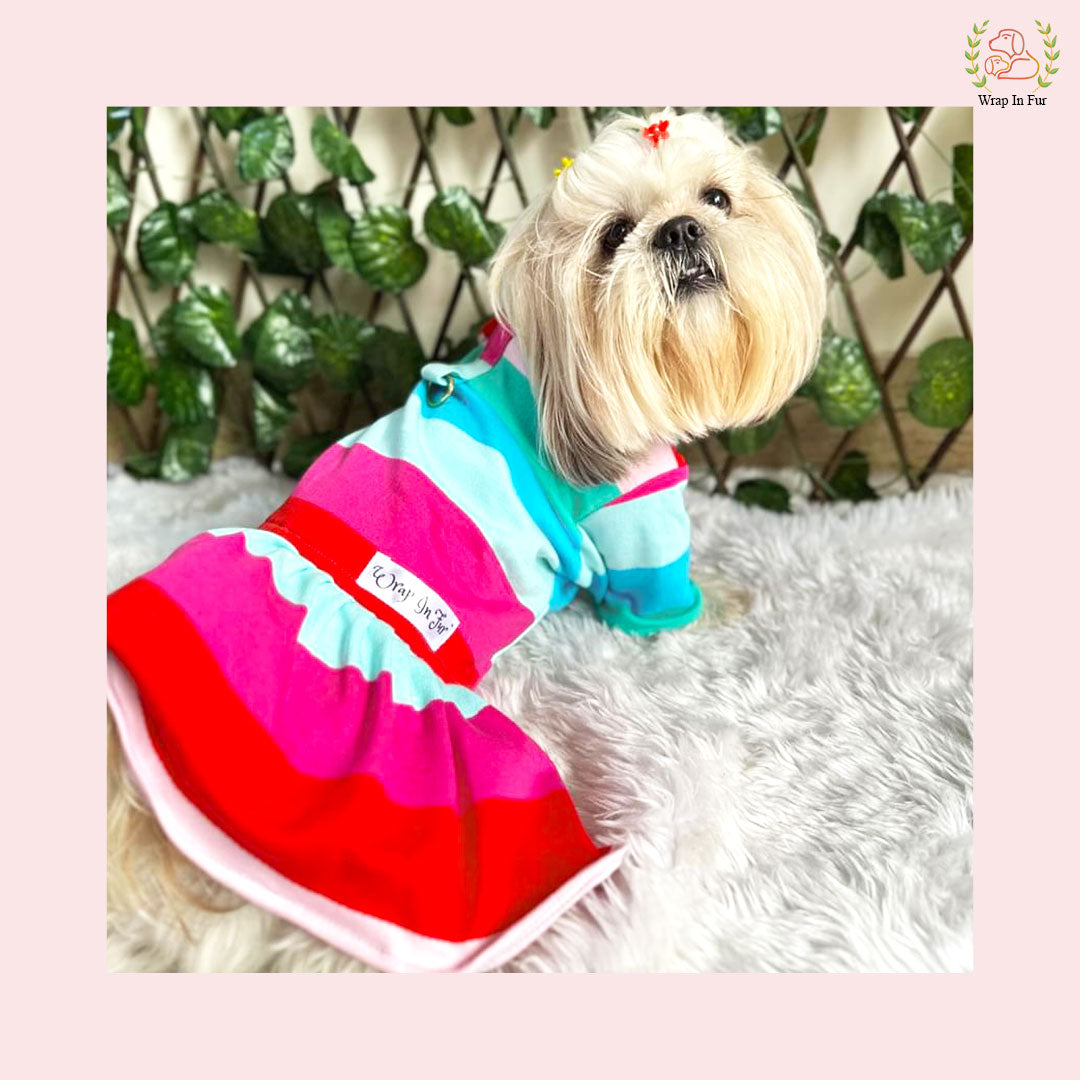 Rainbow Twirl Dog Frock – Soft, Cute & Winter Ready