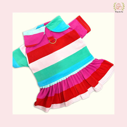 Rainbow Twirl Dog Frock – Soft, Cute & Winter Ready