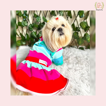 Rainbow Twirl Dog Frock – Soft, Cute & Winter Ready