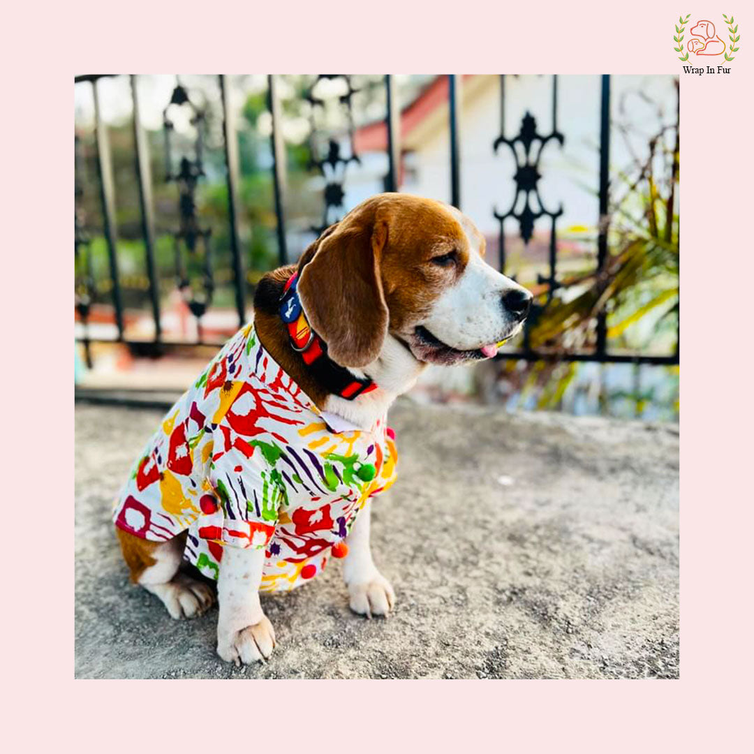 Rang Barse Multi-Color Paint Splash Dog Kurta - Indian Dog Ethnic Wear