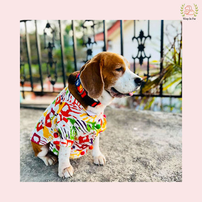 Rang Barse Multi-Color Paint Splash Dog Kurta - Indian Dog Ethnic Wear
