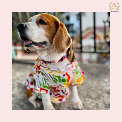 Rang Barse Multi-Color Paint Splash Dog Kurta - Indian Dog Ethnic Wear