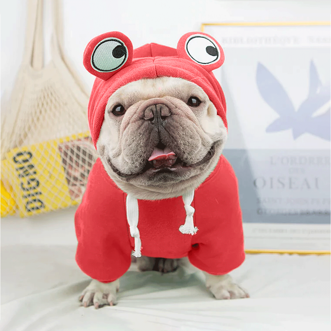 Red Froggy Hoodie