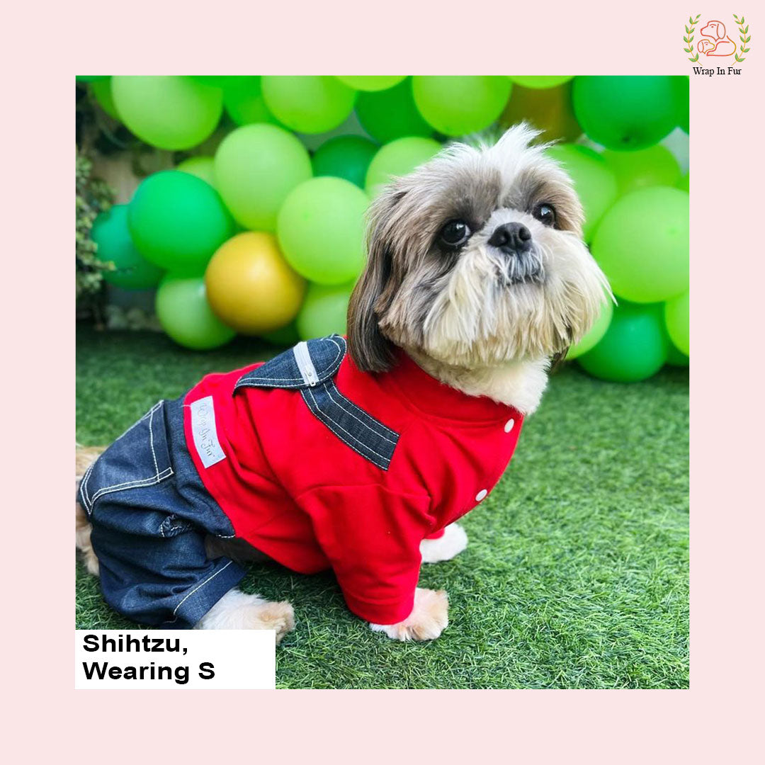 dog birthday clothes online for female dog