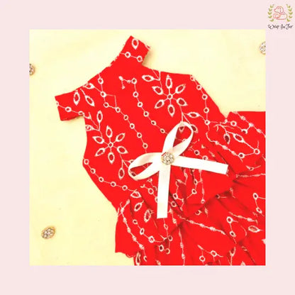 red embroidery dog frock for labrador