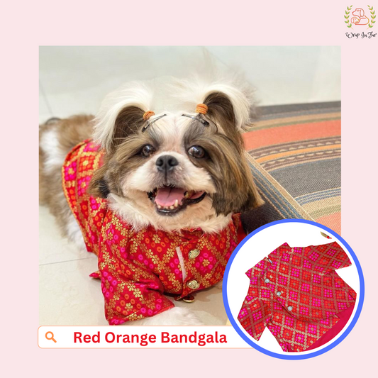 Red Orange Dog Bandhgala