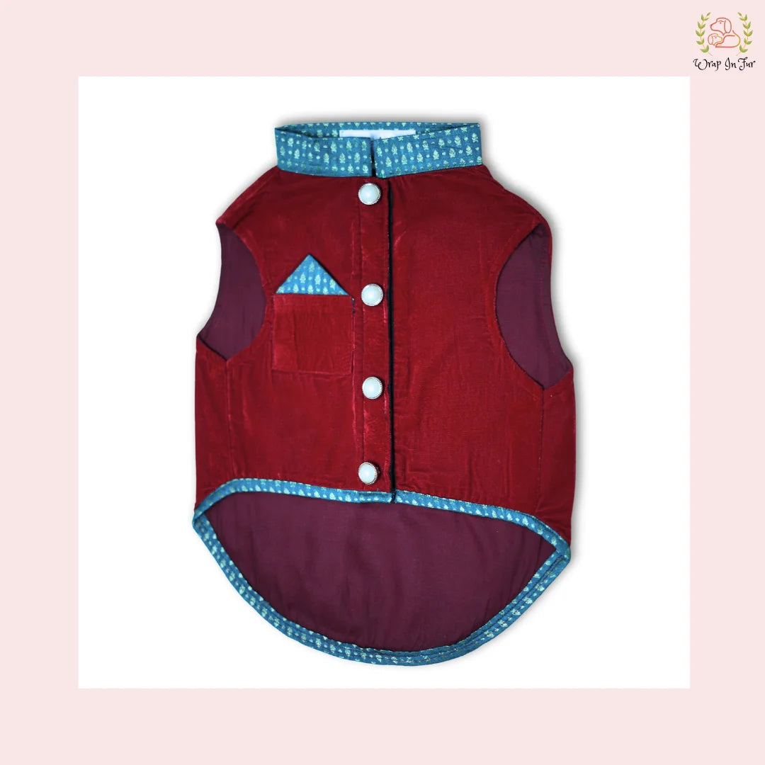 Wedding red velvet maharaja dog jacket 