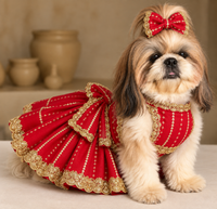Shihtzu chaniya choli dress
