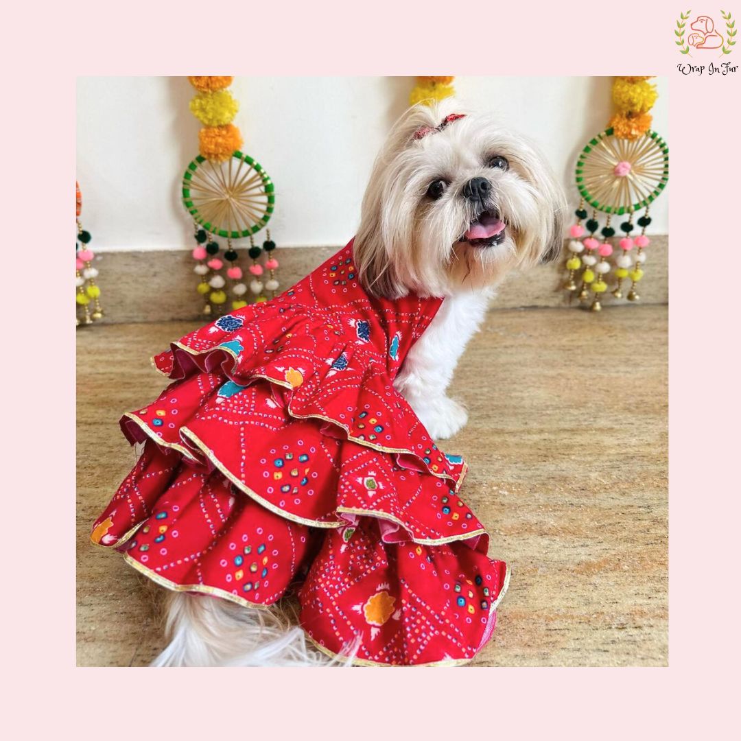 Red Bandhani Dog Princess Dress | Premium Dog Wedding Outfit