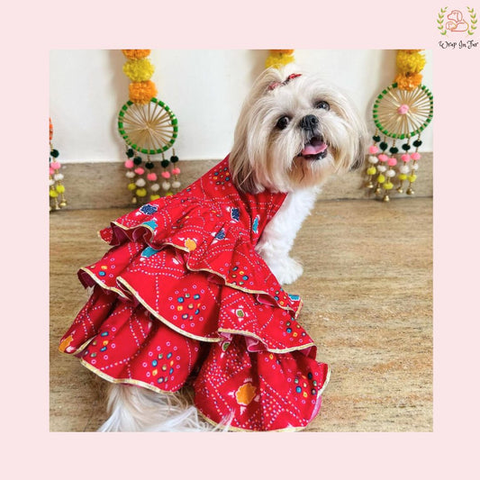 Red Bandhani Dog Princess Dress | Premium Dog Wedding Outfit