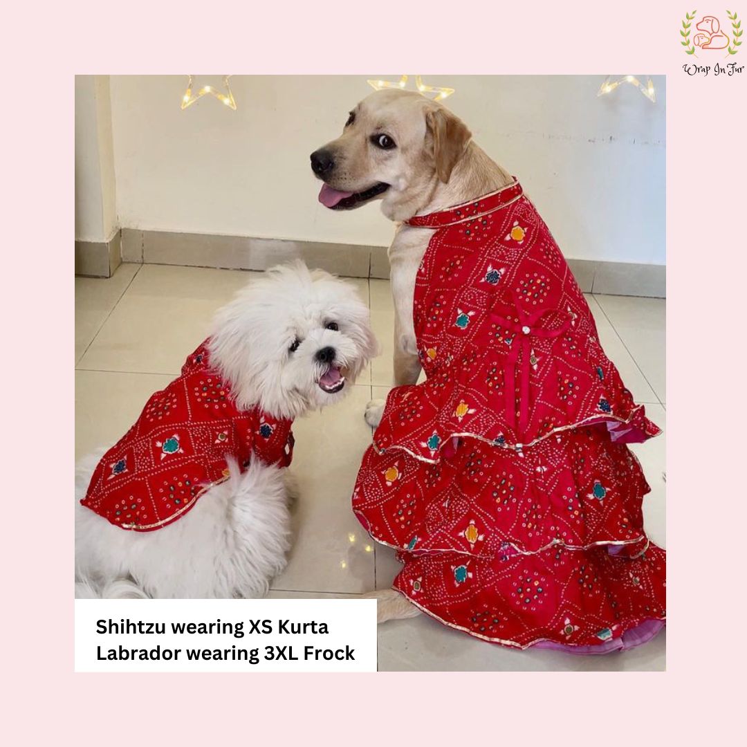 Red Bandhani Dog Princess Dress | Premium Dog Wedding Outfit