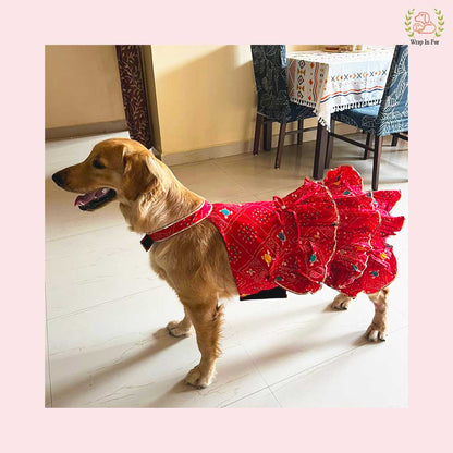 Red Bandhani Dog Princess Dress | Premium Dog Wedding Outfit