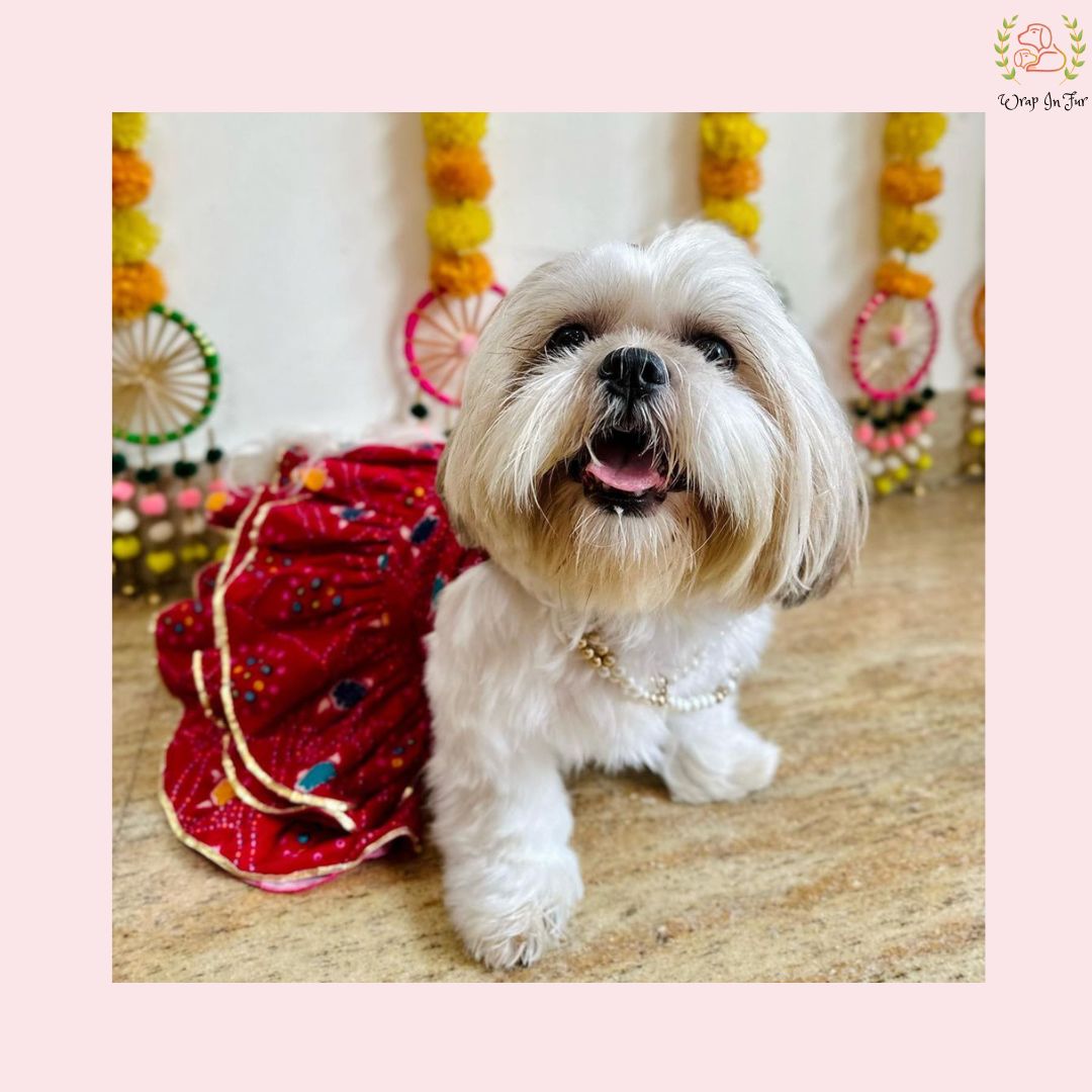 Red Bandhani Dog Princess Dress | Premium Dog Wedding Outfit