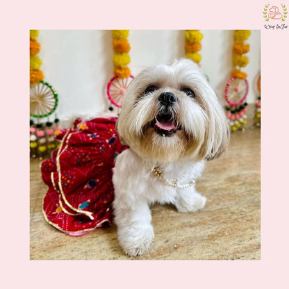 Red Bandhani Dog Princess Dress | Premium Dog Wedding Outfit
