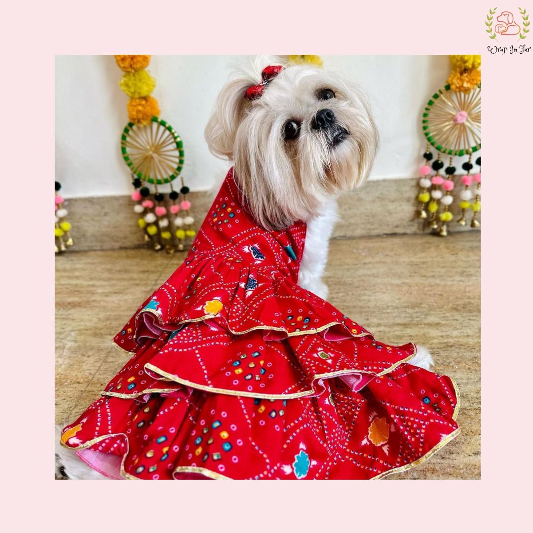 Red Bandhani Dog Princess Dress | Premium Dog Wedding Outfit