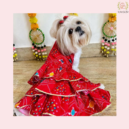 Red Bandhani Dog Princess Dress | Premium Dog Wedding Outfit