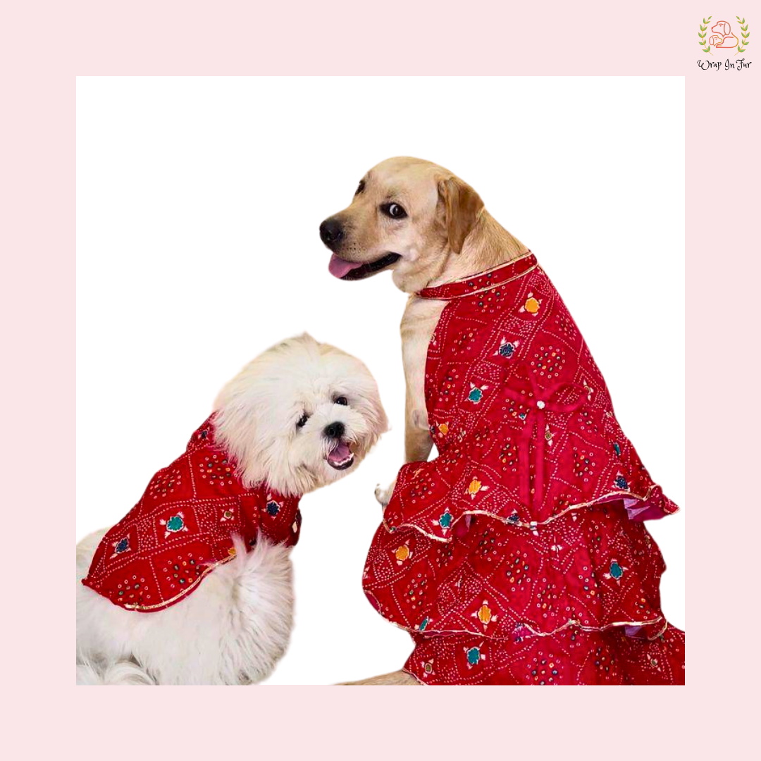Red Bandhini Dog Kurta - Traditional Indian Dog Ethnic Wear