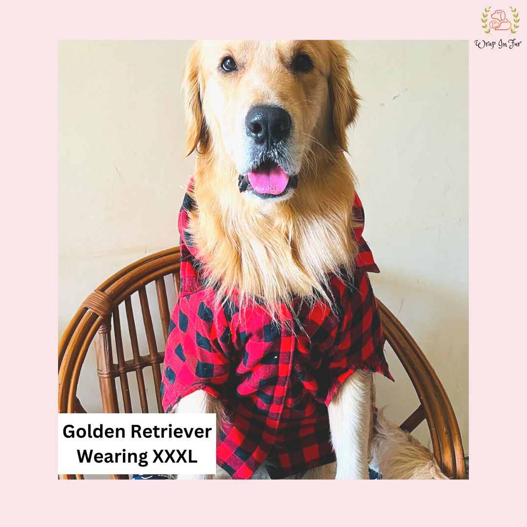 Red & Black Checkered Dog Hoodie – Warm, Stylish & Cozy