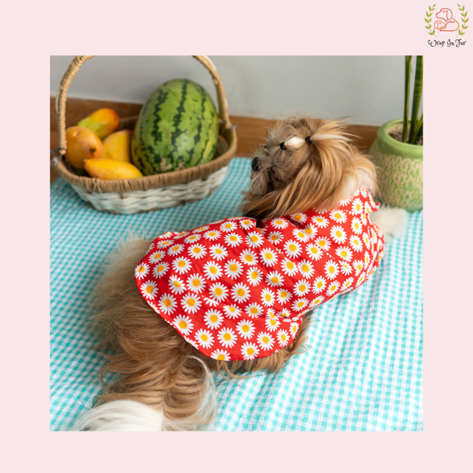 Red Daisy Dog Shirt