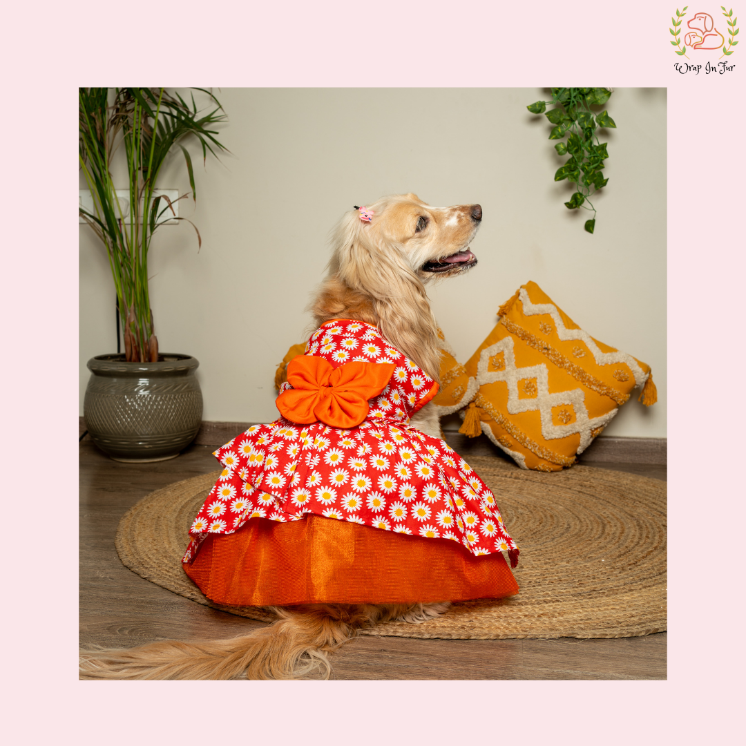 Wrapinfur Red Daisy Print Dog Frock Dress | Cheerful Party Wear Wrapinfur Red Daisy Print Dog Frock Dress | Cheerful Party Wear