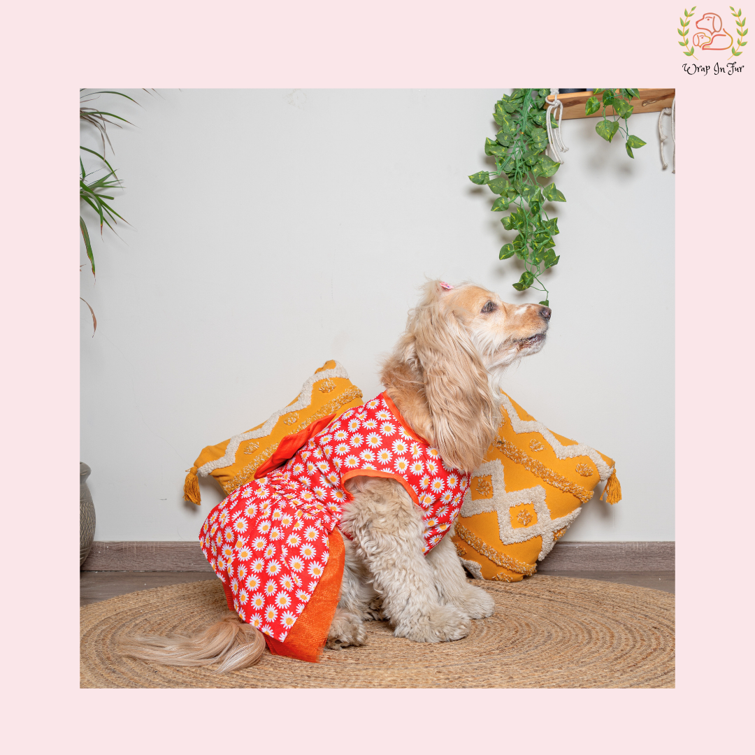 Red Daisy Print Dog Frock Dress - Cheerful Party Wear