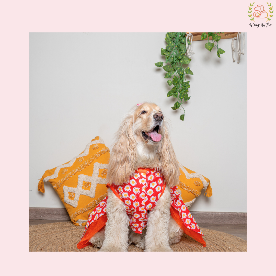 Red Daisy Print Dog Frock Dress - Cheerful Party Wear