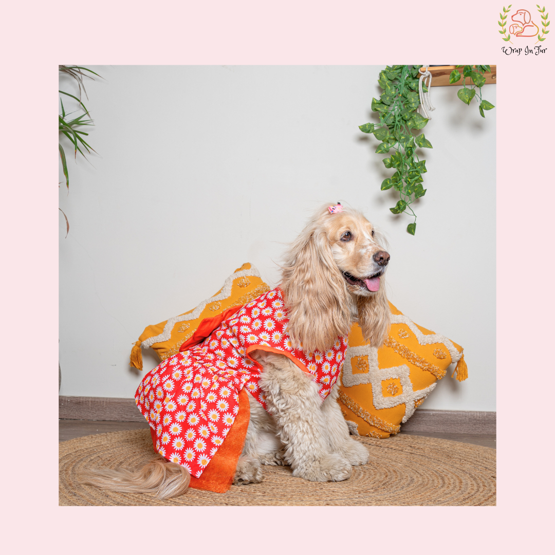 Red Daisy Print Dog Frock Dress - Cheerful Party Wear