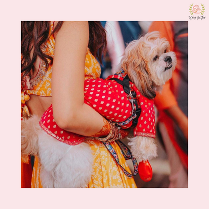 Red Dog Sherwani