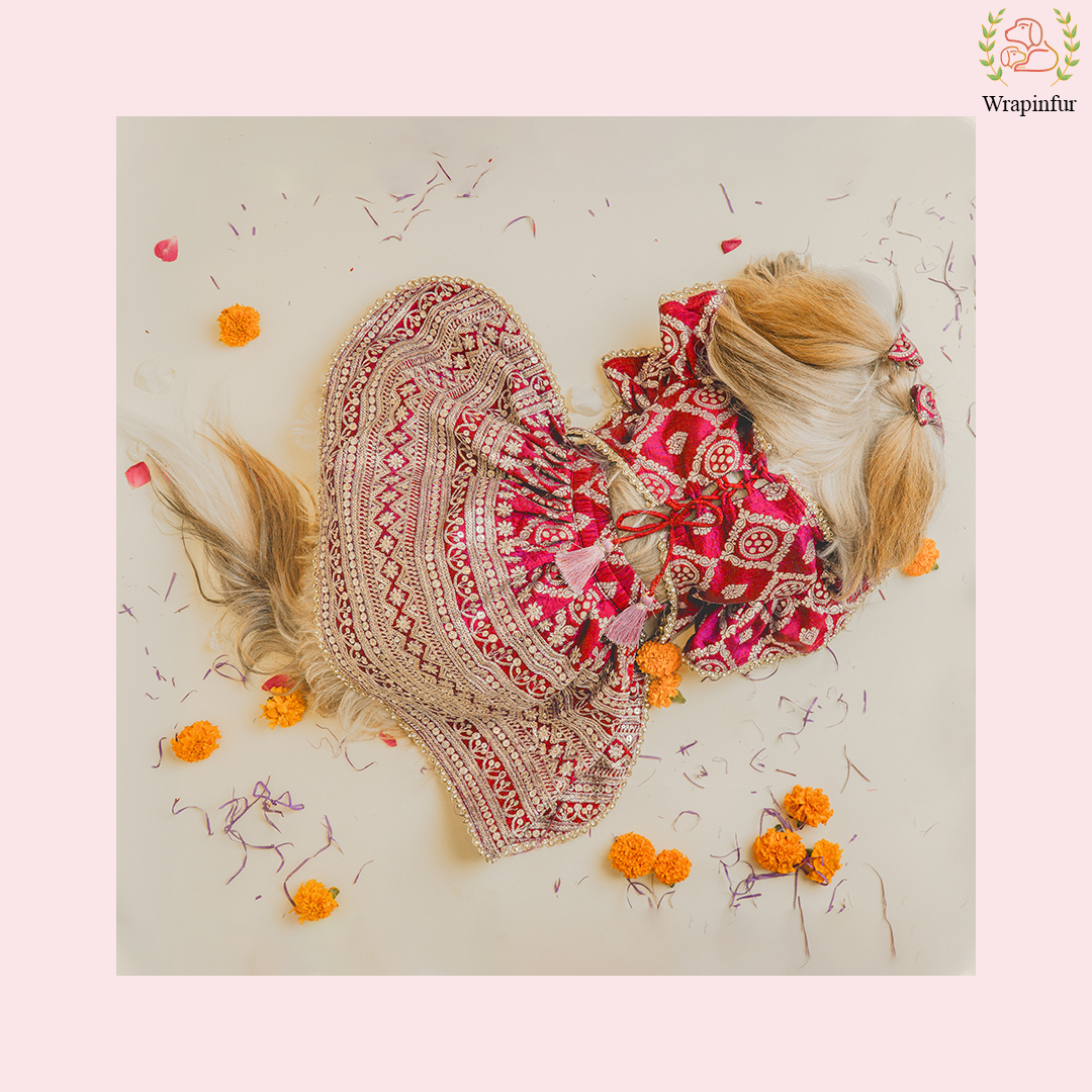 Red Embroidered Dog Bridal Dress - Traditional Lehenga Choli Set