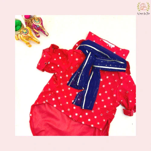 Red Embroidered Dog Kurta with Blue Dupatta - Premium Dog Ethnic Wear