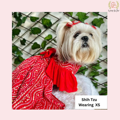 Red Ethnic Dog Frock Dress – Dog Wedding & Party Wear