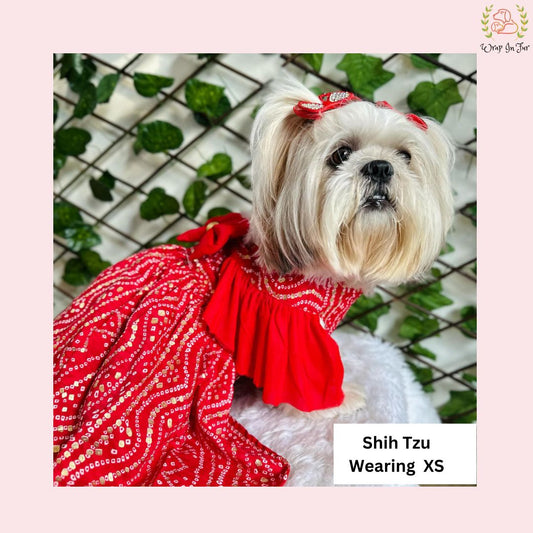 Red Ethnic Dog Frock Dress – Dog Wedding & Party Wear
