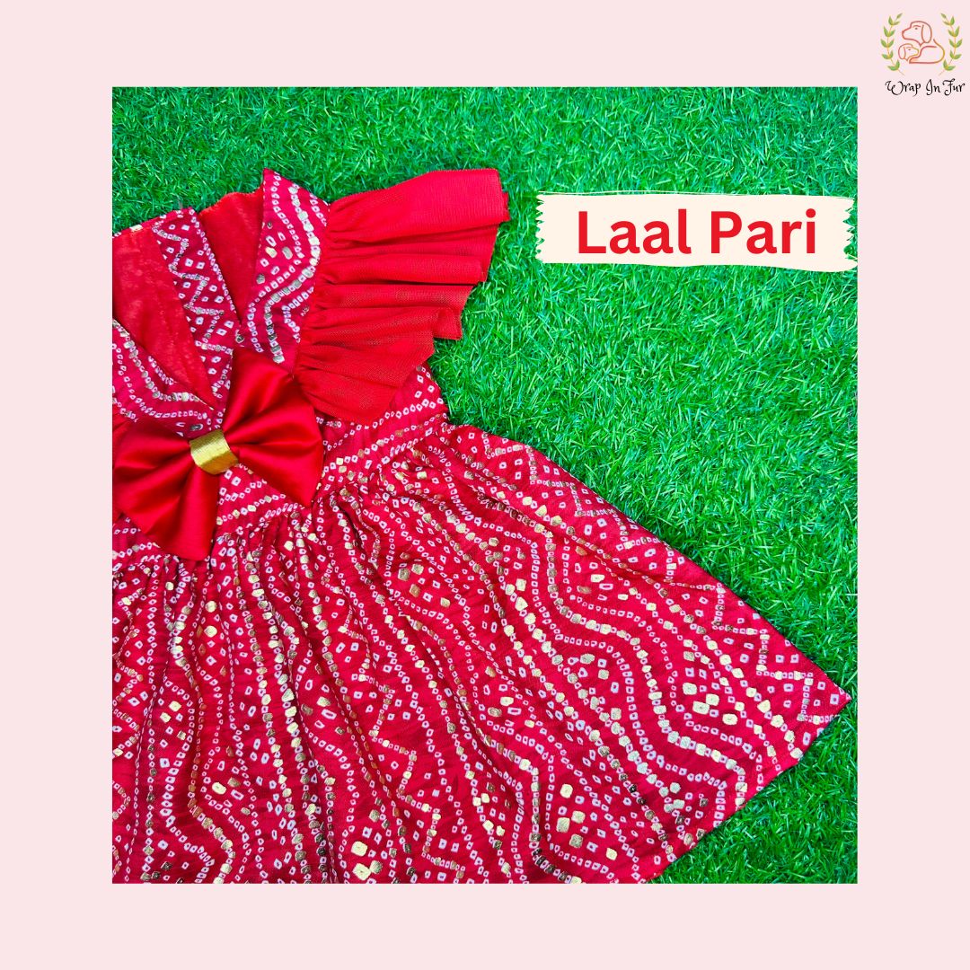 Red Ethnic Dog Frock Dress – Dog Wedding & Party Wear