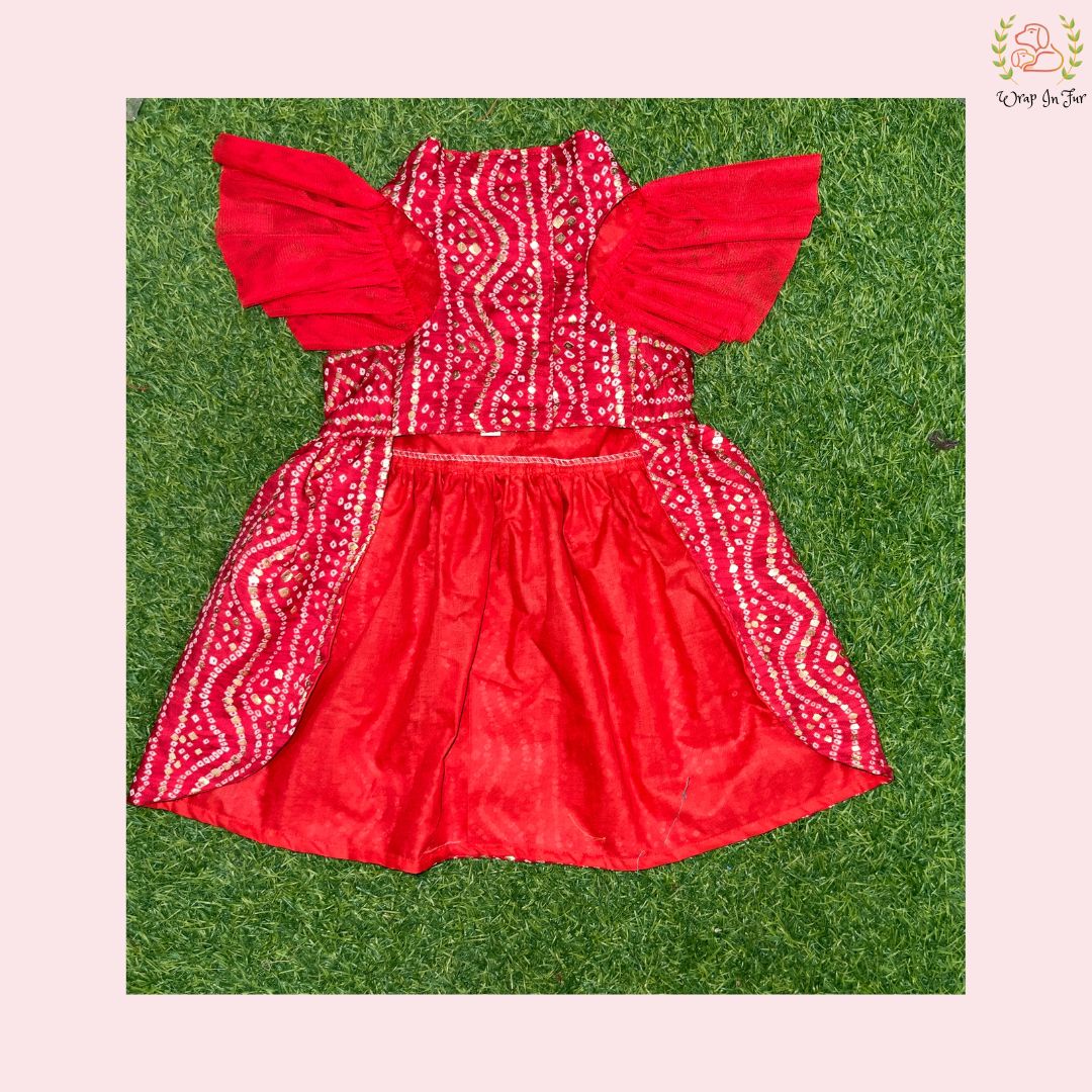 Red Ethnic Dog Frock Dress – Dog Wedding & Party Wear