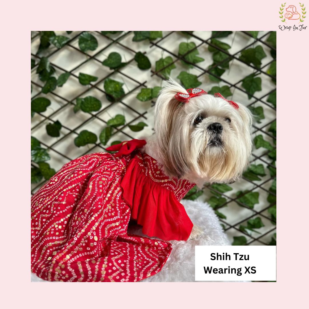 Red Ethnic Dog Frock Dress – Dog Wedding & Party Wear