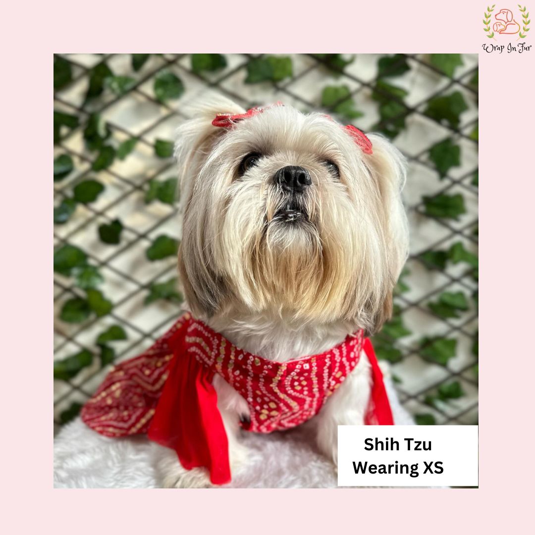 Red Ethnic Dog Frock Dress – Dog Wedding & Party Wear