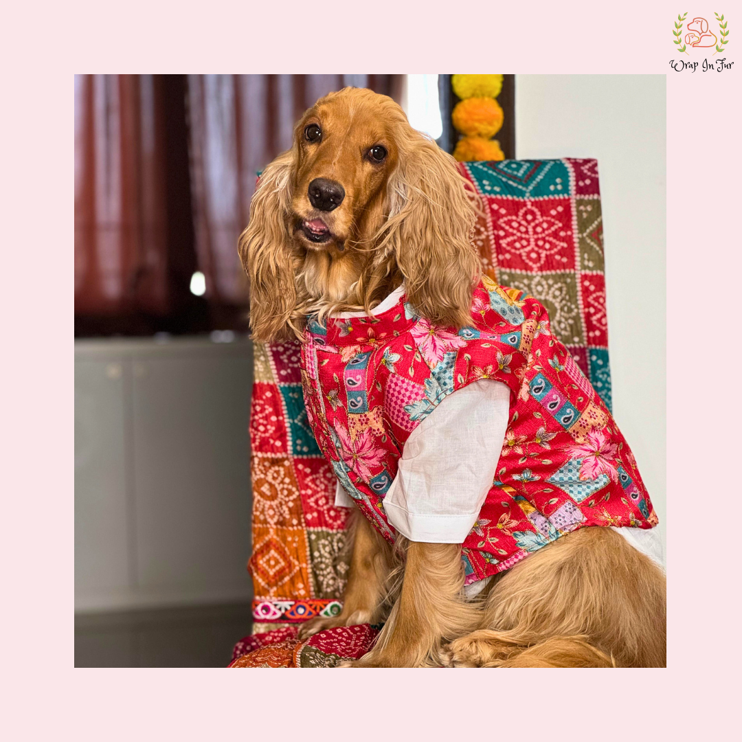 Red Floral Printed Dog Kurta Jacket Set - Premium Indian Dog Ethnic Wear