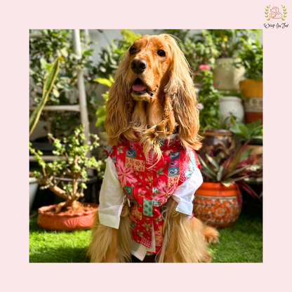 Red Floral Printed Dog Kurta Jacket Set - Premium Indian Dog Ethnic Wear