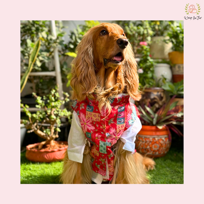 Red Floral Printed Dog Kurta Jacket Set - Premium Indian Dog Ethnic Wear