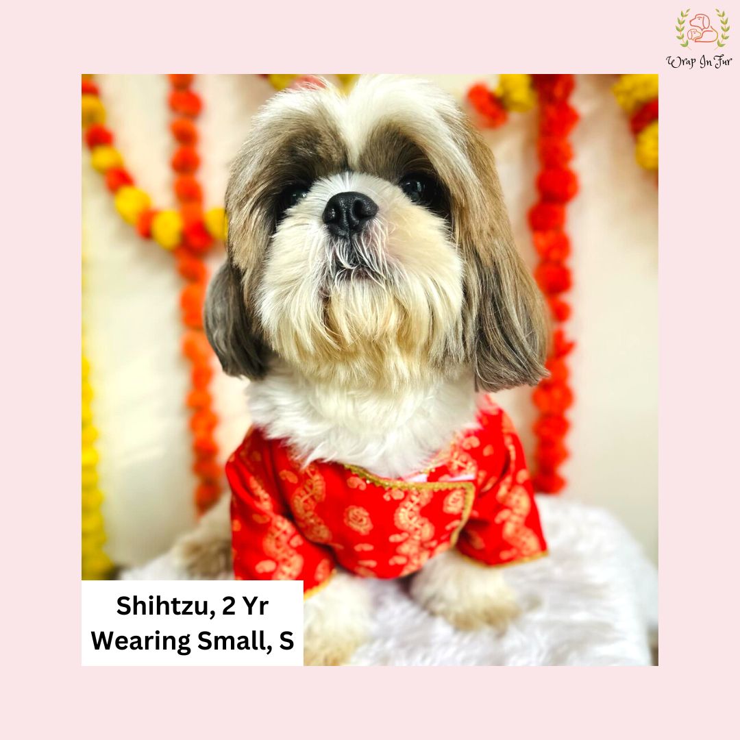 Red & Gold Paisley Dog Angarkha Kurta - Premium Indian Dog Ethnic Wear