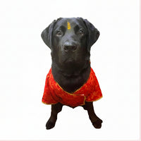 Red & Gold Paisley Dog Angarkha Kurta 