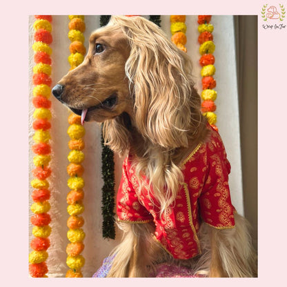 Red & Gold Paisley Dog Angarkha Kurta - Premium Indian Dog Ethnic Wear