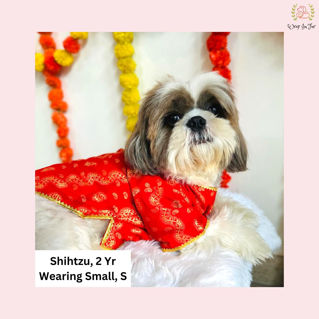 Red & Gold Paisley Dog Angarkha Kurta - Premium Indian Dog Ethnic Wear