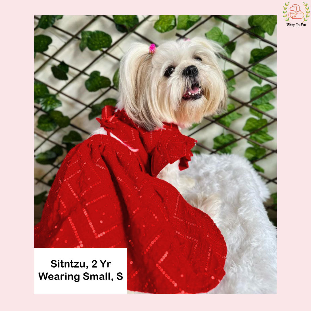 Red Golden Dog Lehenga – Bridal Dog Wedding Dress Outfit